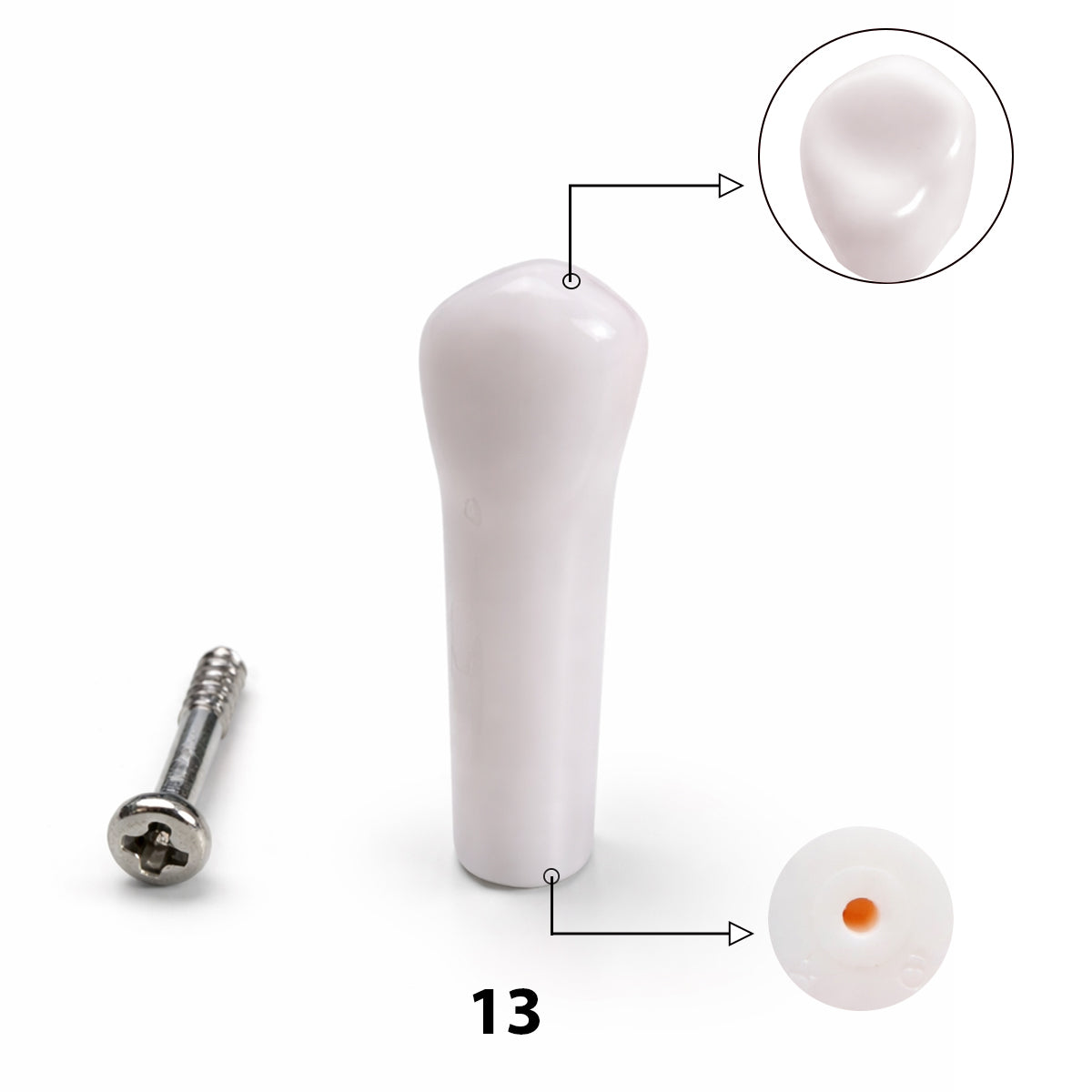 iDENTical Typodont Upper Right Canine – #13 Nissin TJMA09