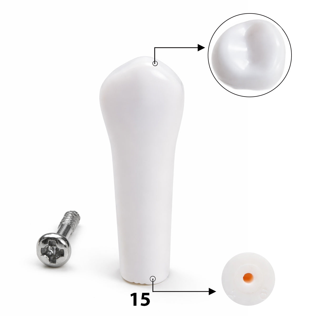 iDENTical Typodonts For NISSIN Compatible Individual Replacement Teeth – GIDC Typho Tooth | Homo Sapiens Dental Training Teeth (TUMA09)