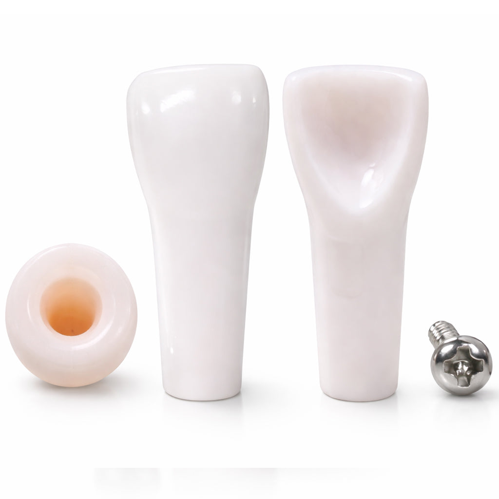 iDENTical Typodonts For NISSIN Compatible Individual Replacement Teeth – GIDC Typho Tooth | Homo Sapiens Dental Training Teeth (TUMA09)