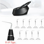 Woodpecker Fi-P Obturation Pen Tips