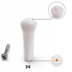 iDENTical Typodont Lower Left First Premolar – #34 Nissin TJMA09