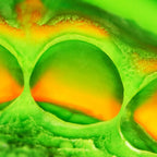 Zhermack Mixing Pad For Light Body Tubes