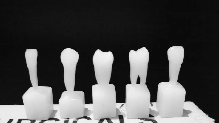 Prevest DenPro Hi-Flex Carving Wax Blocks – Dental Modeling Wax for Prosthetic Work