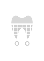 iDENTical Typodonts For NISSIN Compatible Individual Replacement Teeth – GIDC Typho Tooth | Homo Sapiens Dental Training Teeth (TUMA09)
