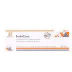 SafeEndo Iodo Cure 2x2g syringes with iodoform calcium hydroxide paste