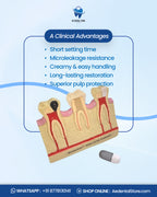 Septodont Biodentine Bioactive Dentin Substitute Kit – Pack of 5 Capsules