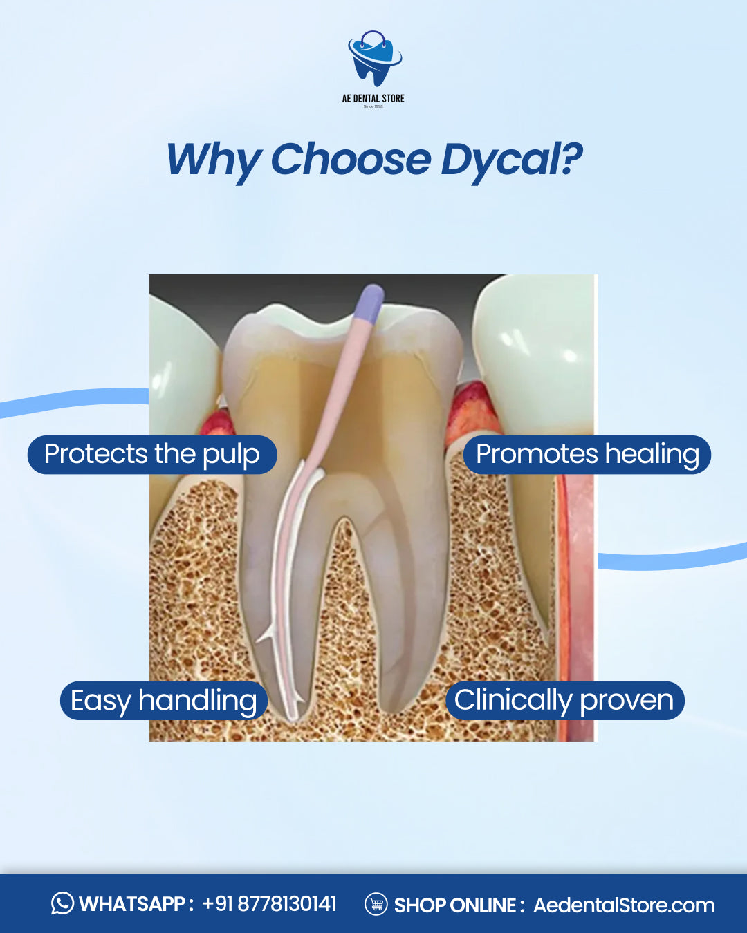 Densply  Dycal Calcium Hydroxide Liner Paste – Ivory Refill