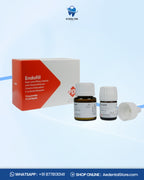 PD Endofill Radiopaque Root Canal Sealer – Powder & Liquid Kit | AE Dental