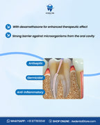 PD Endofill Radiopaque Root Canal Sealer – Powder & Liquid Kit | AE Dental