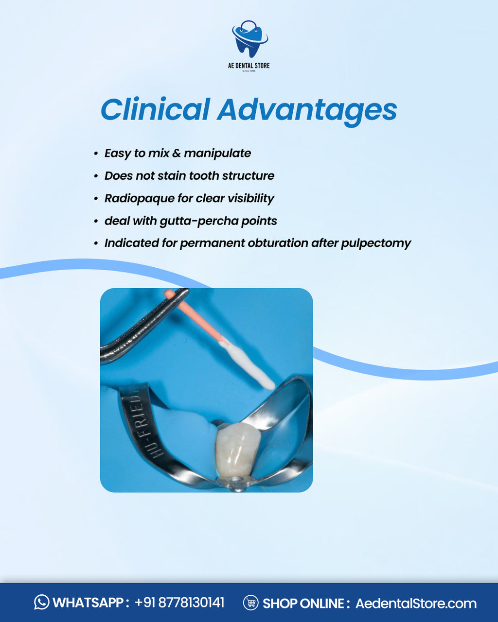 PD Endofill Radiopaque Root Canal Sealer – Powder & Liquid Kit | AE Dental