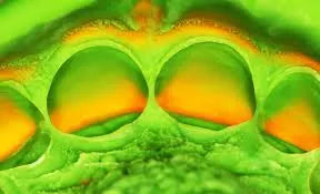 Zhermack Elite HD Putty Soft Fast Set