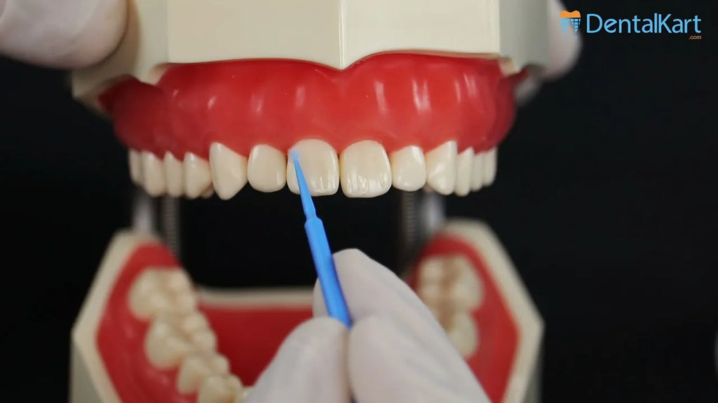 Cotisen Dental Micro Applicators Tips