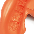 Zhermack Neocolloid Alginate Impression Powder 500g