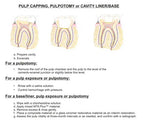 Prevest MTA Plus – Mineral Trioxide Aggregate Root Repair Cement