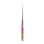 Woodpecker Endo Plus rotary file taper detail