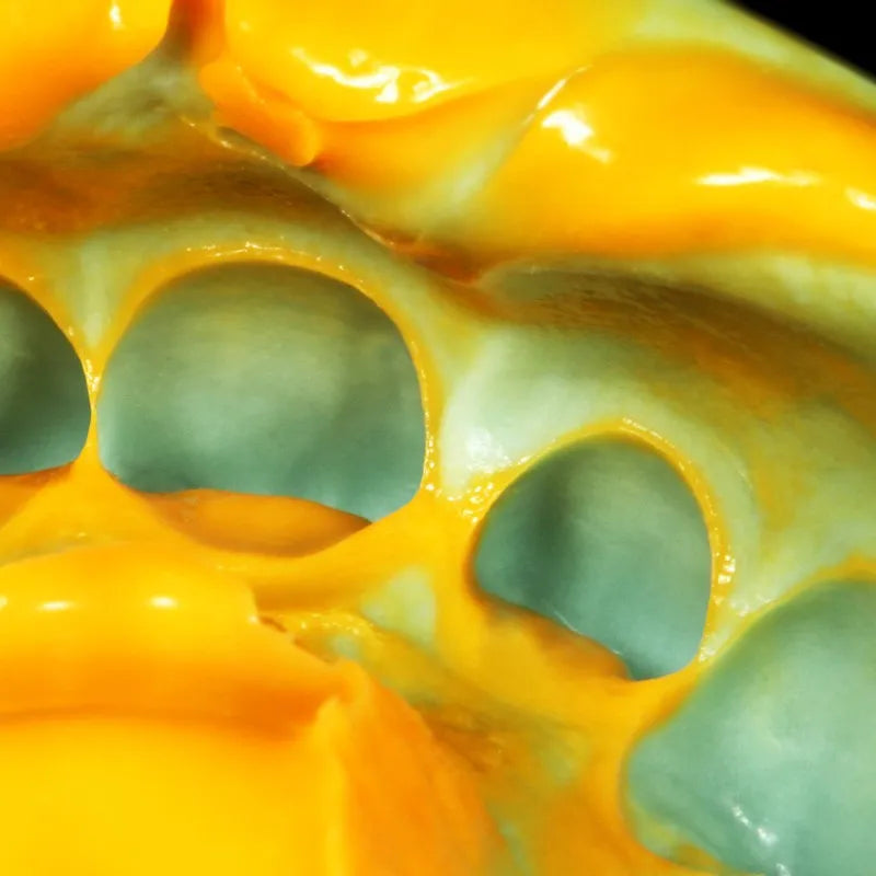 Zhermack Zetaplus Soft 10 Kg