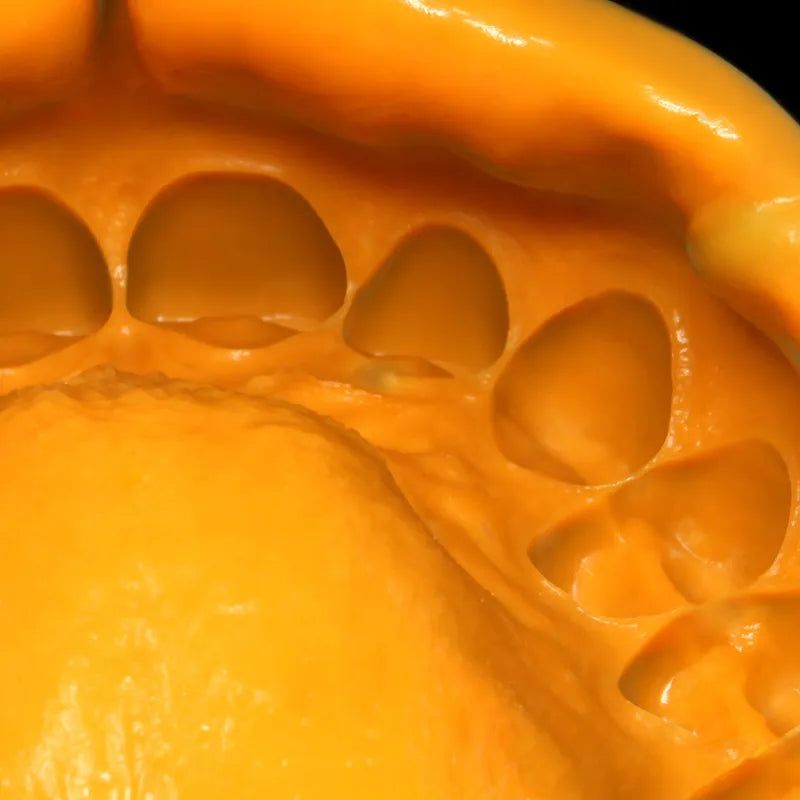 Zhermack Zetaplus Soft Putty Impression Material