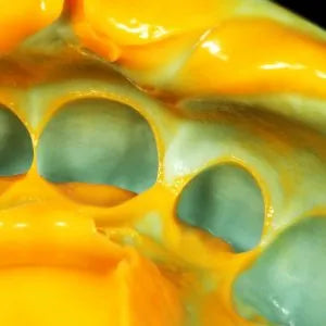 Zhermack Elite HD Putty Soft Fast Set